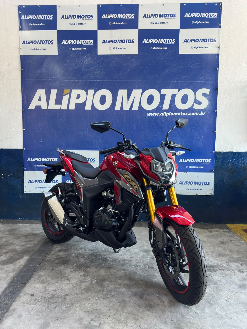 SUZUKI DR 160